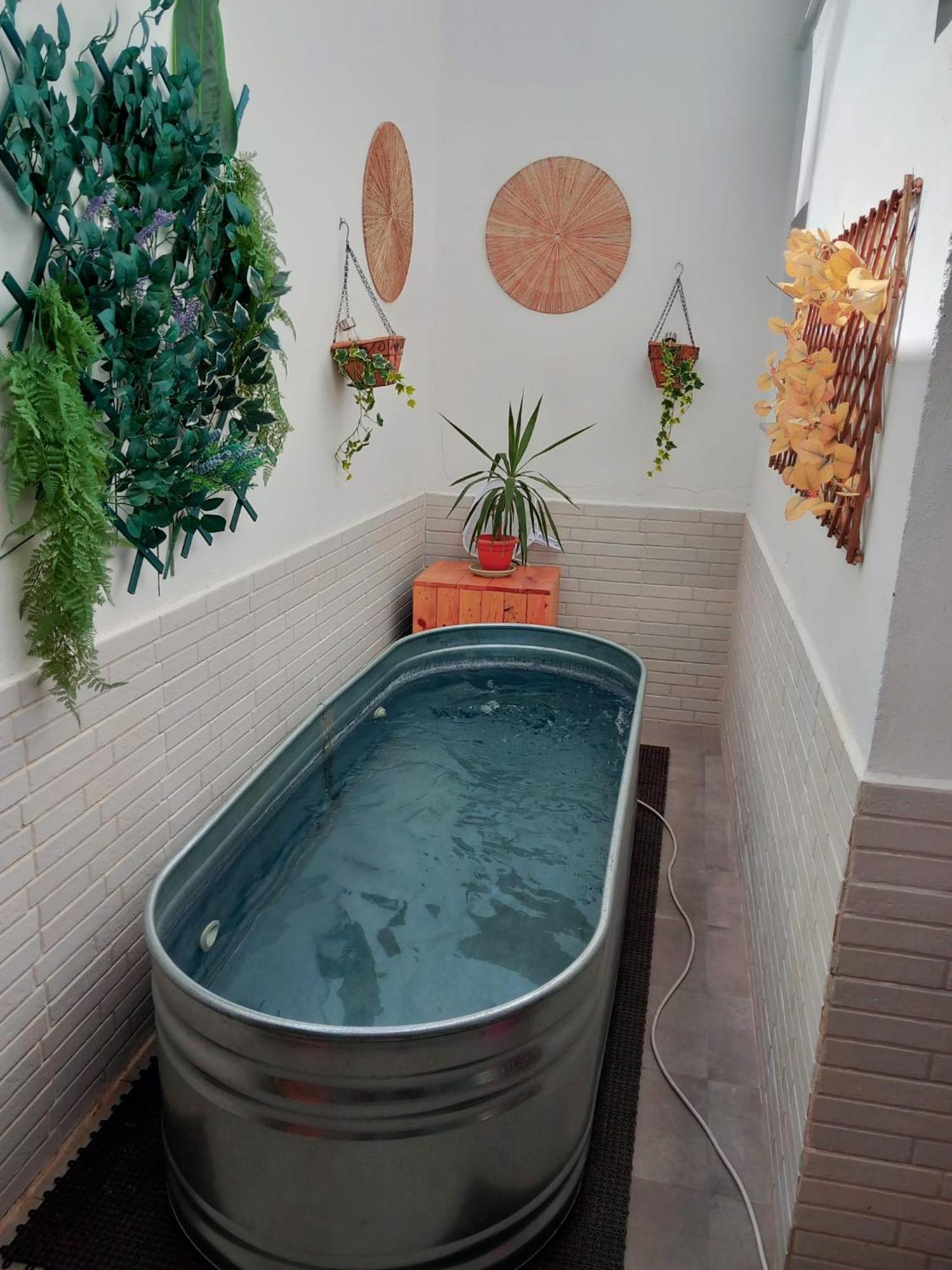 Apartamentos De La Haya & Suite Con Jacuzzi, Junto Al Teatro Romano Mérida Exteriér fotografie