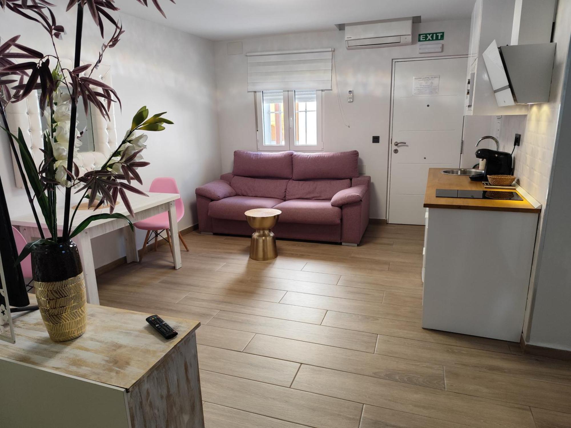 Apartamentos De La Haya & Suite Con Jacuzzi, Junto Al Teatro Romano Mérida Exteriér fotografie